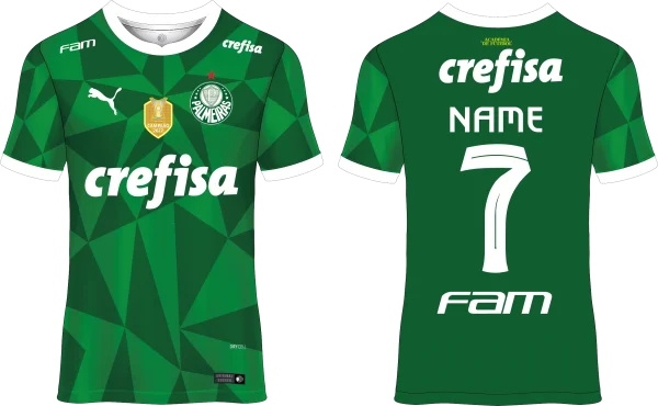 Palmeiras 2023-2024 camiseta Vector