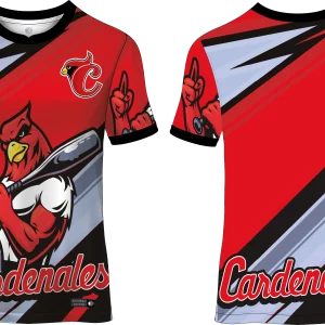 Diseño Vector CARDENALES