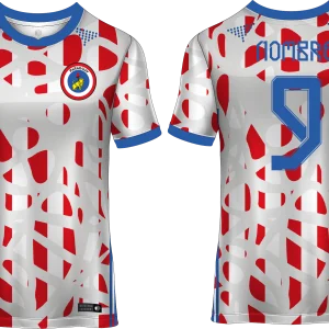 Paraguay Pro Design