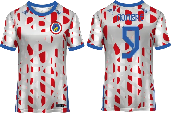 Paraguay Pro Design