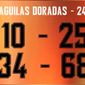 Tipografía Aguilas Doradas 2024