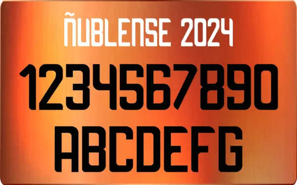 Tipografia Ñublense 2024