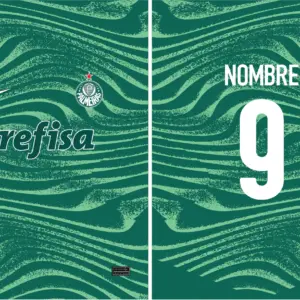 Palmeiras Grunge Concept 24 PRO