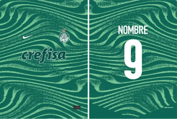 Palmeiras Grunge Concept 24 PRO