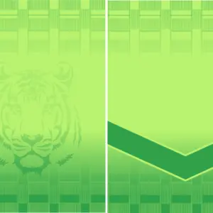 Jersey Verde Limón Tigre