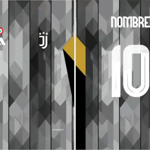 Juventus Concept 24 PRO