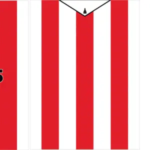 Stoke City Local Kit 2024-2025