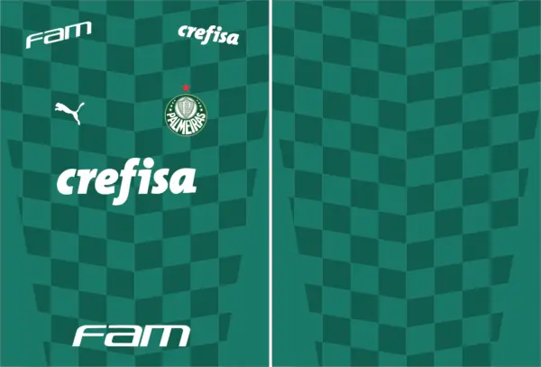 Palmeiras Home Kit 21