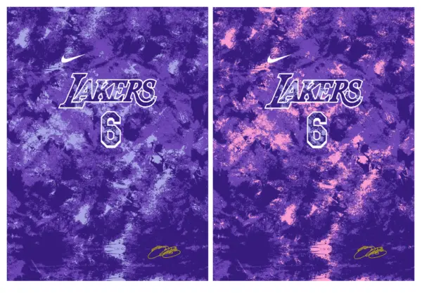 NBA Lakers 24