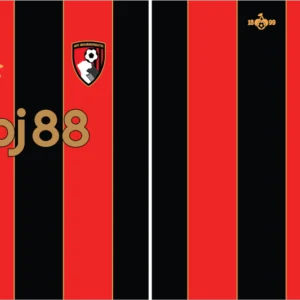 Bournemouth Home Kit 24-25