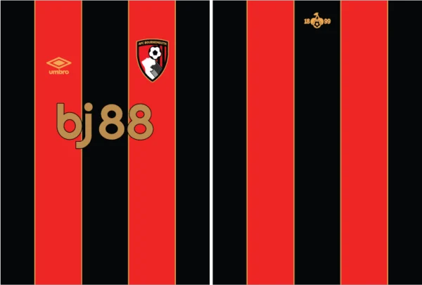 Bournemouth Home Kit 24-25