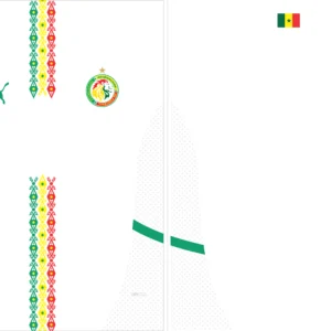 Senegal Home Kit 24-25