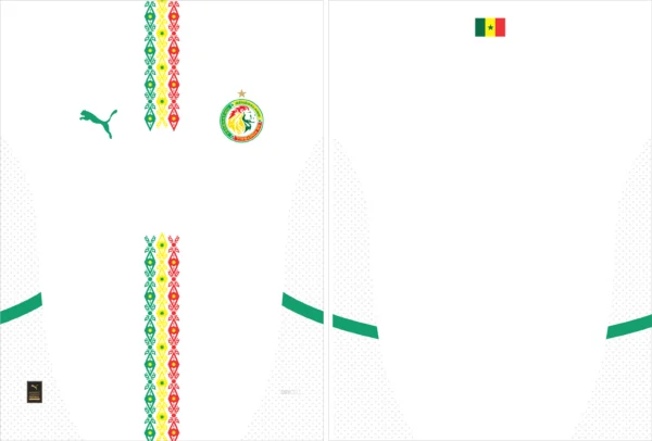 Senegal Home Kit 24-25